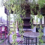 El Sueve Colunga